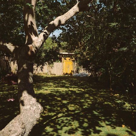 Vila Bijupira Caraíva エクステリア 写真